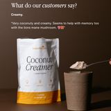 Coconut Creamer + Lions Mane & Reishi